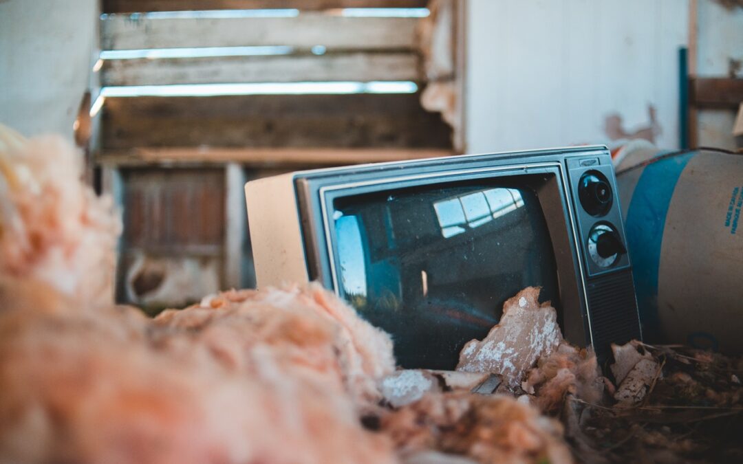 Can You Put a TV in a Dumpster in Hollywood, FL